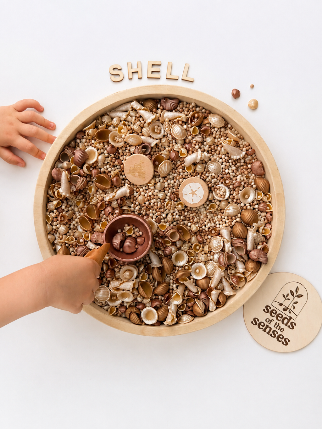 Shell Collection